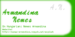 armandina nemes business card